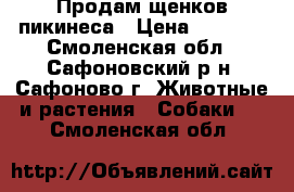 Продам щенков пикинеса › Цена ­ 5 000 - Смоленская обл., Сафоновский р-н, Сафоново г. Животные и растения » Собаки   . Смоленская обл.